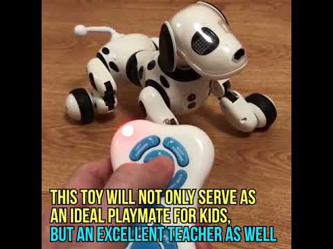 iFido   Intelligent Robot Dog