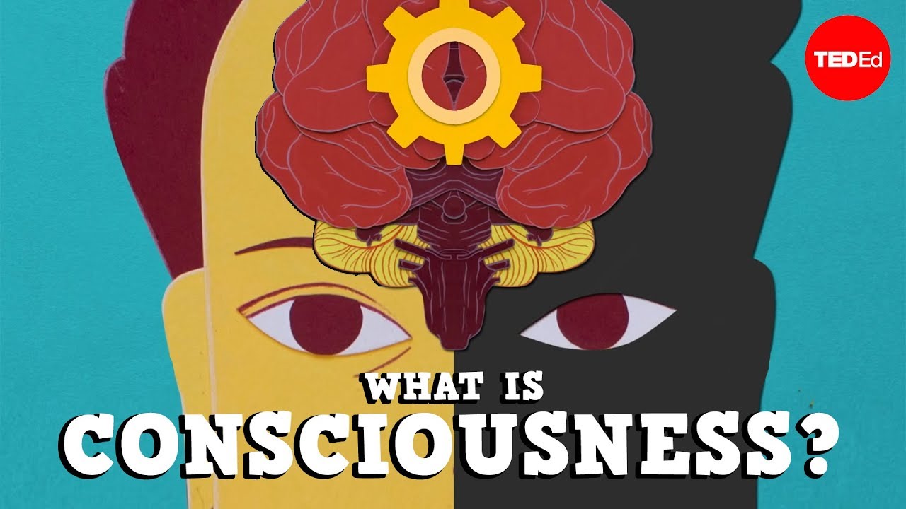 What is consciousness? – Michael S. A. Graziano