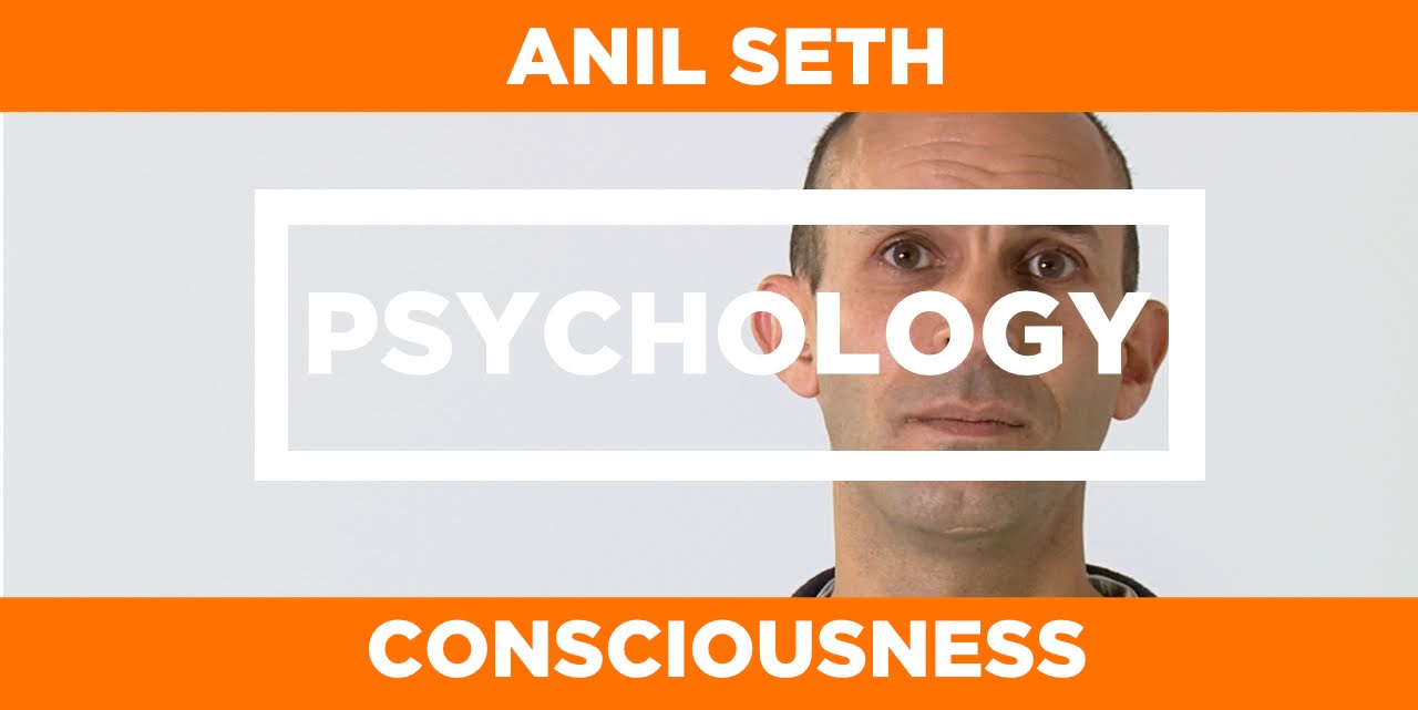 PSYCHOLOGY – Consciousness – Anil Seth