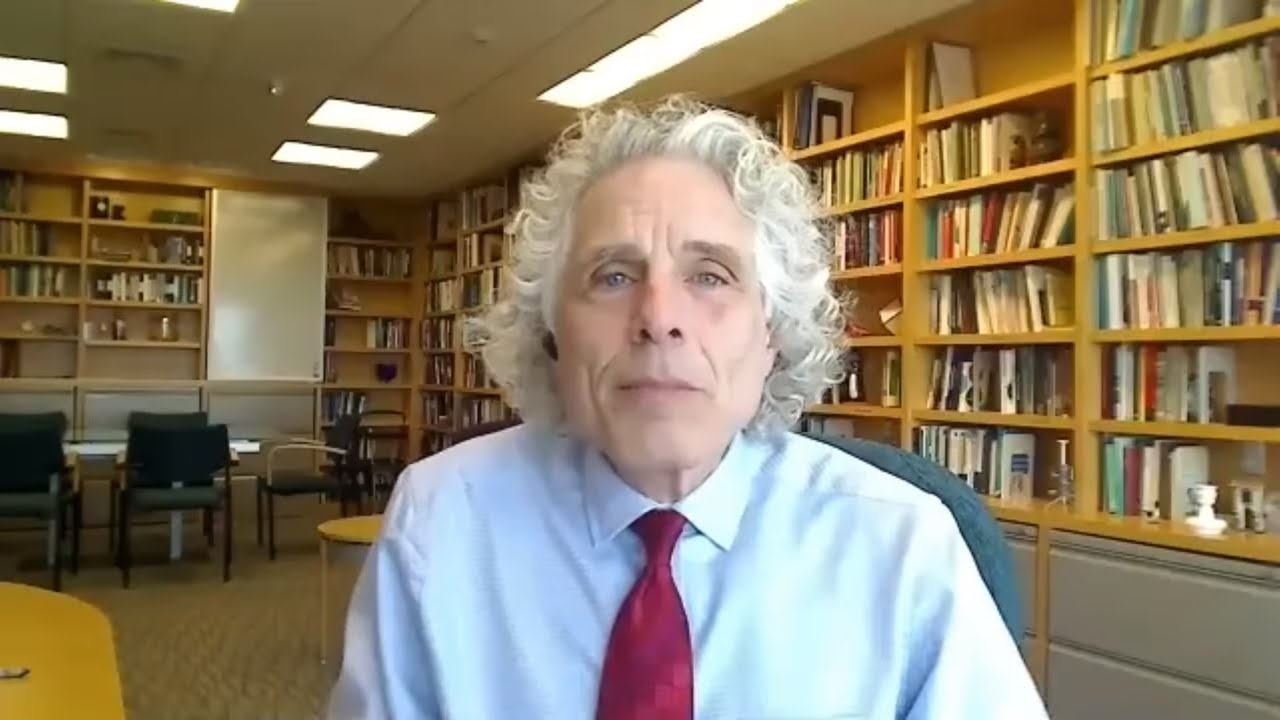 Steven Pinker: Progress, Despite Everything