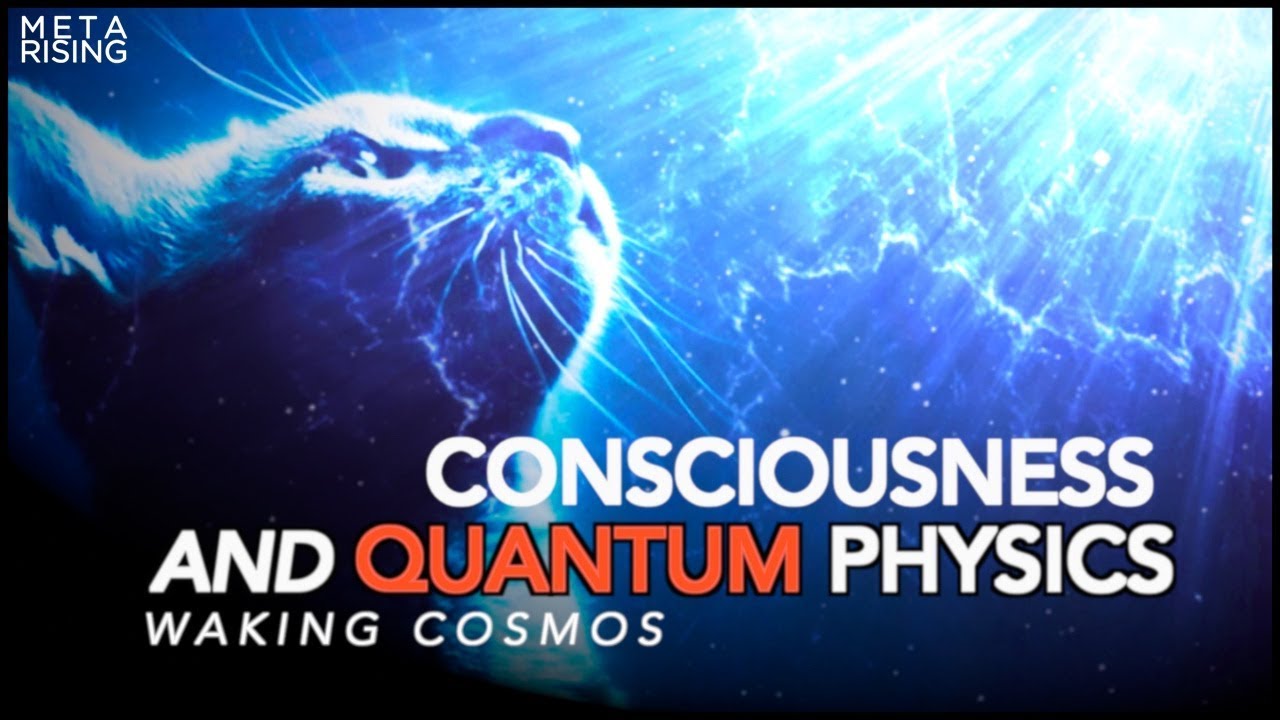 Does Consciousness Collapse the Quantum Wave Function? | Waking Cosmos