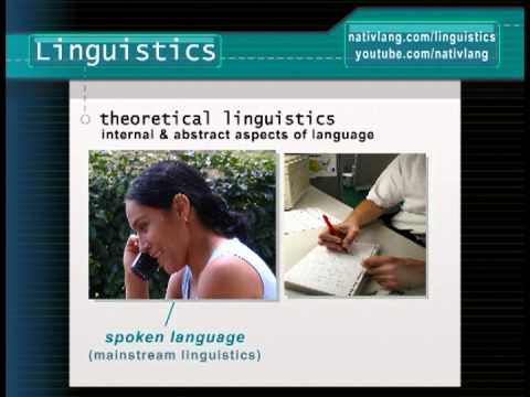 What is linguistics? How do linguists study language? — Linguistics 101