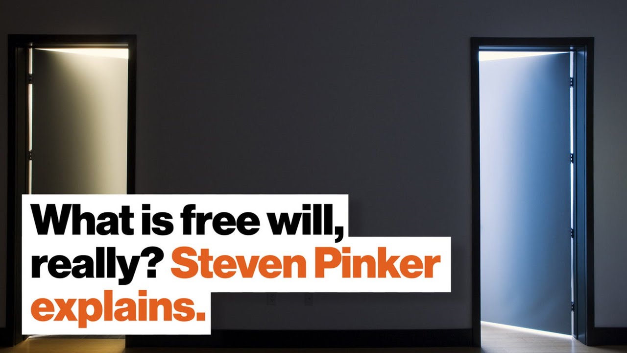 What is free will, really? Steven Pinker explains.