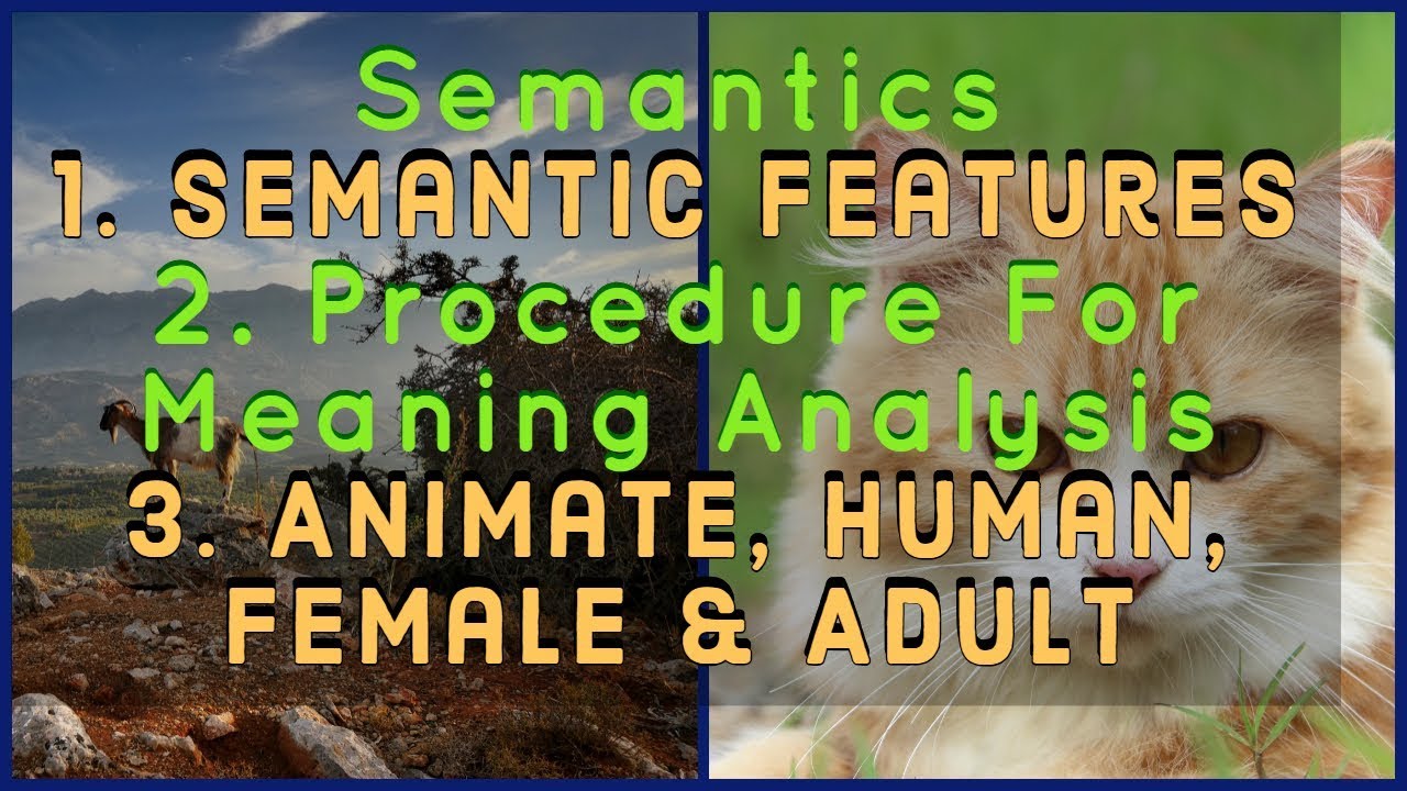 Semantic Features | Animate | Human | Female | Adult | Advantages And Limitations | [ Urdu/Hindi ]