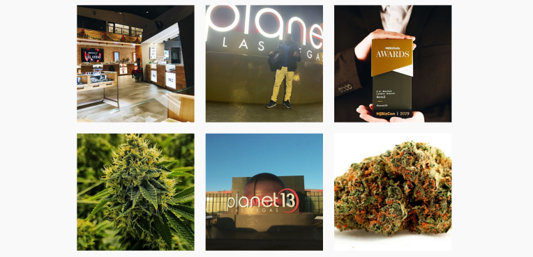 How the world’s largest cannabis dispensary avoids social media restrictions – TechCrunch