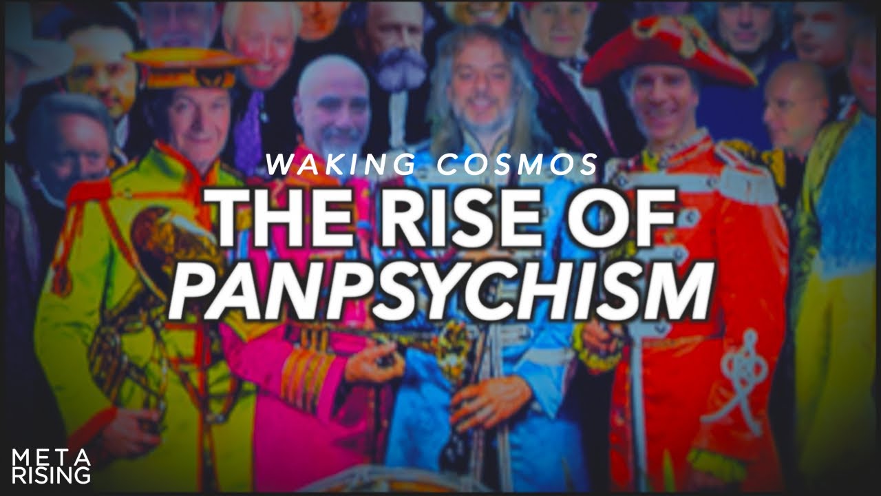 The Rise of Panpsychism | Reality and Consciousness | Waking Cosmos