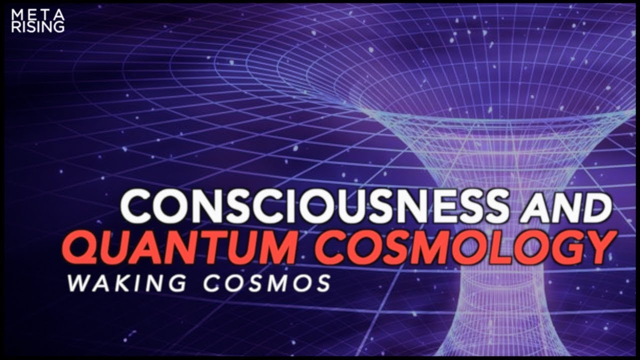 Consciousness and Quantum Cosmology ~The Self-Excited Circuit | Waking Cosmos – Episode 1