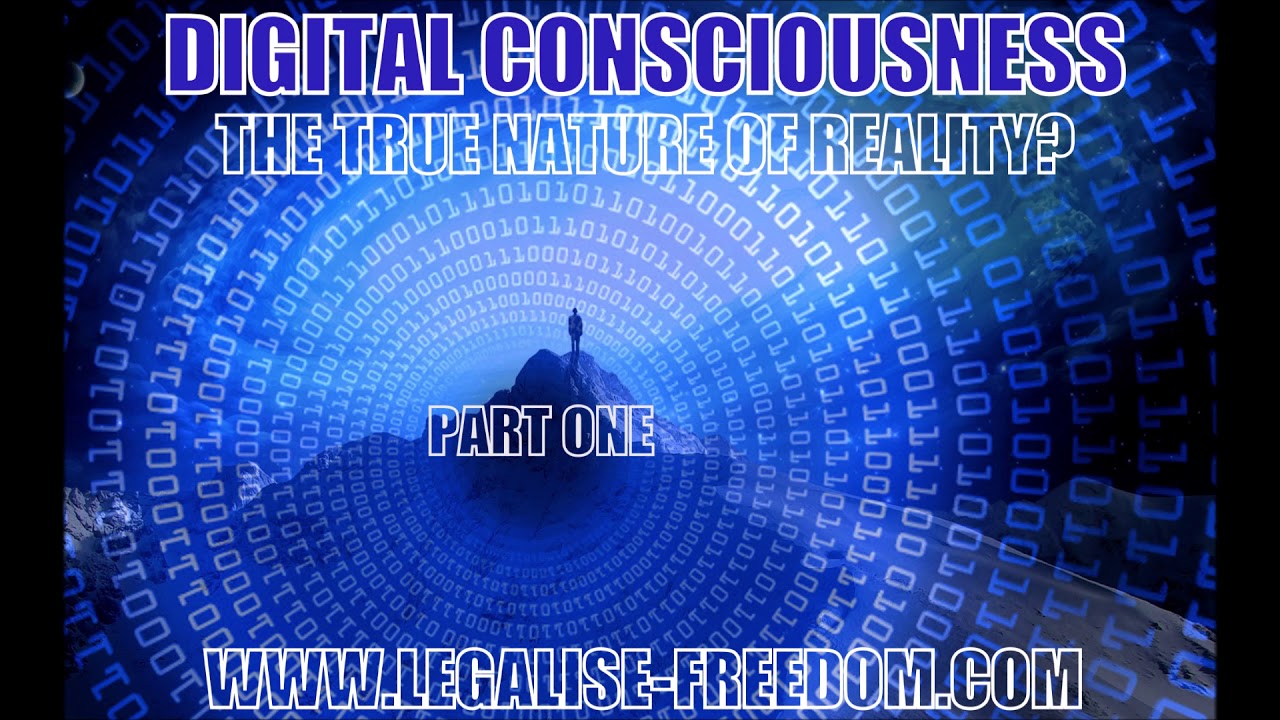 Jim Elvidge – Digital Consciousness: The True Nature of Reality? Part One
