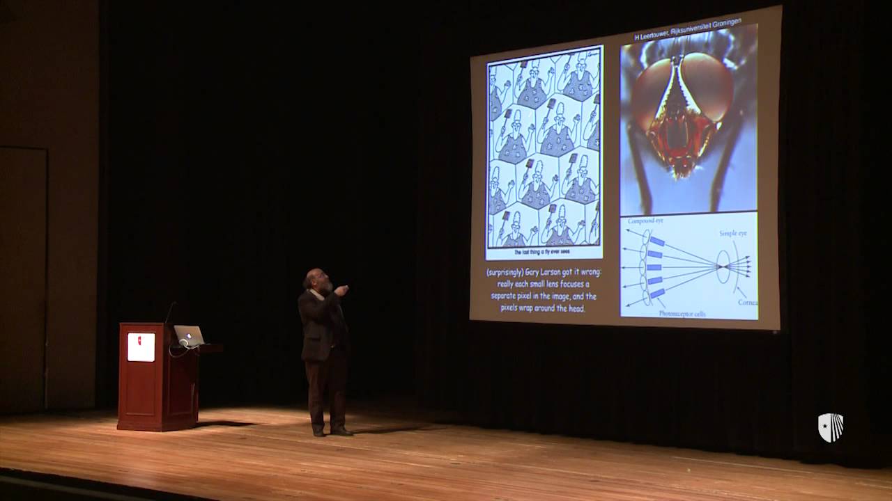 Mind/Brain Lecture March 2015
