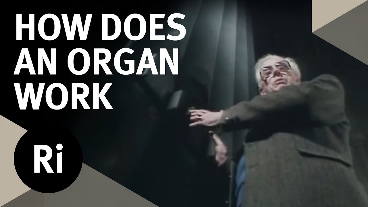 How Does an Organ Work? – Christmas Lectures with Charles Taylor