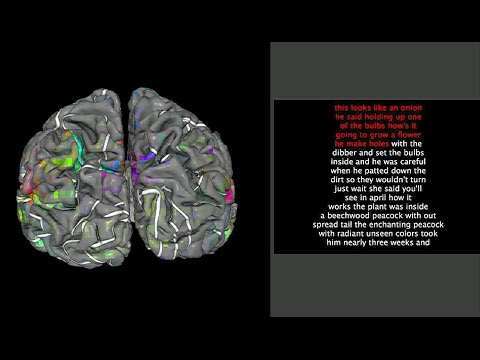 Neuroimaging reveals detailed semantic maps across human cerebral cortex – Science Nation