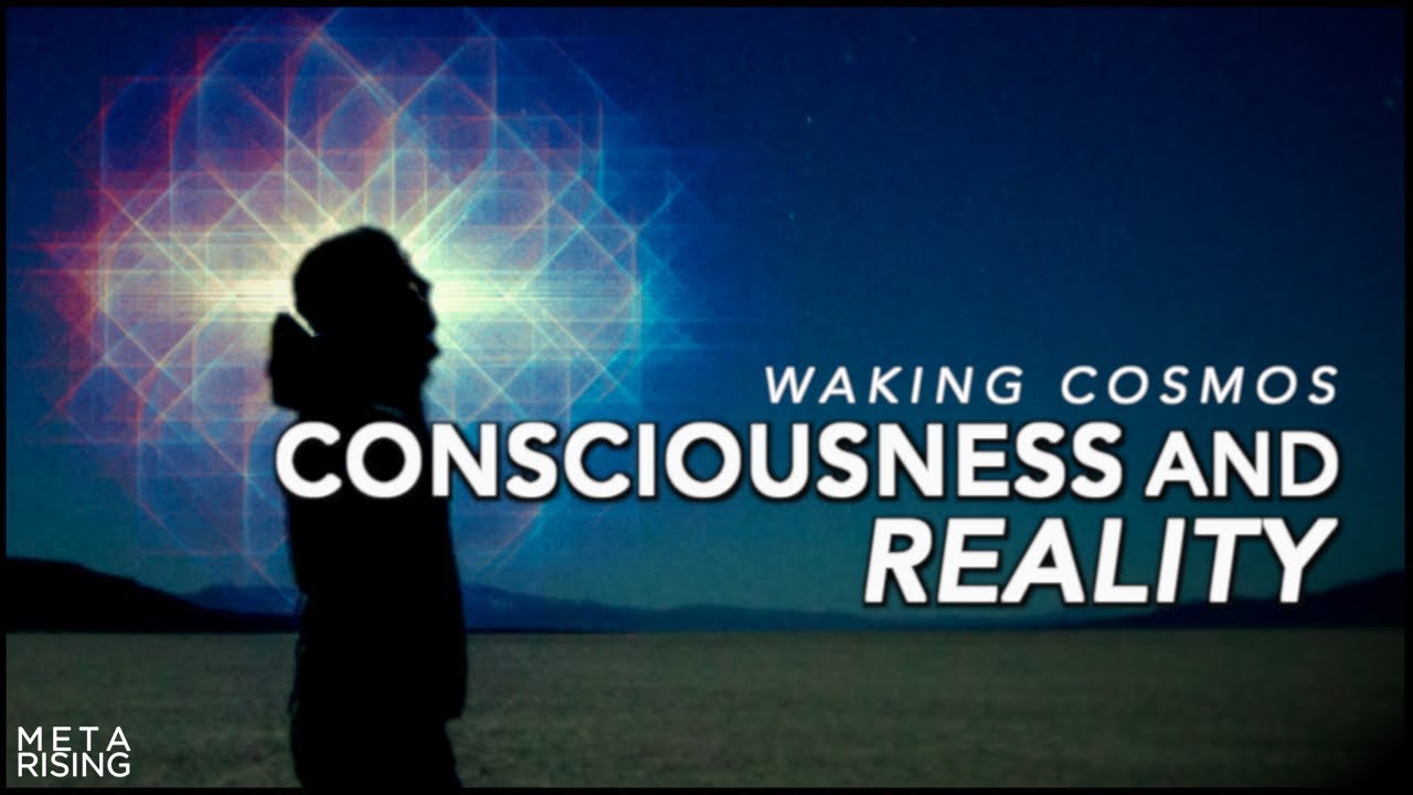 The Hard Problem of Consciousness | Waking Cosmos | Adrian David Nelson