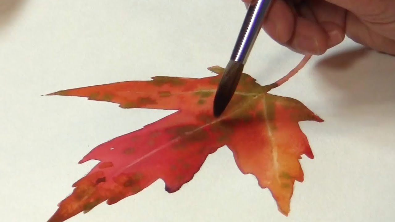 Still Life #38 – Watercolor painting of a colorful autumn leaf