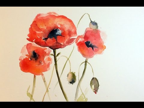 Watercolor Poppies REAL TIME Painting Demonstration