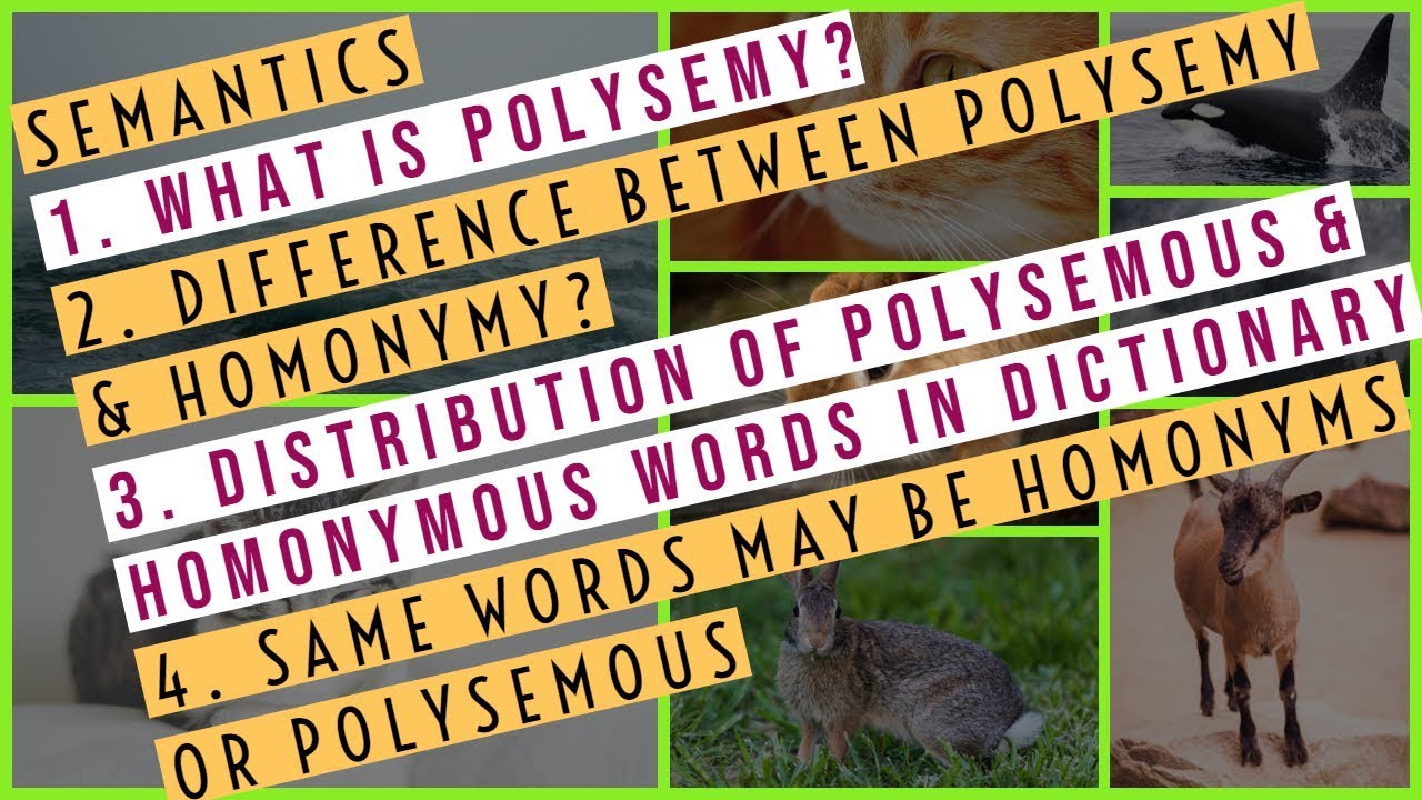 Semantics | What Is Polysemy | Difference Between Polysemy And Homonymy | Distribution In Dictionary