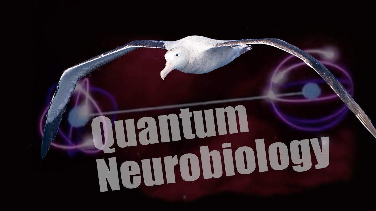 The Quantum Physics of Brain Science