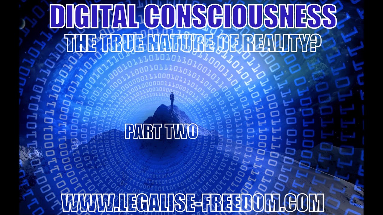 Jim Elvidge – Digital Consciousness: The True Nature of Reality? Part Two
