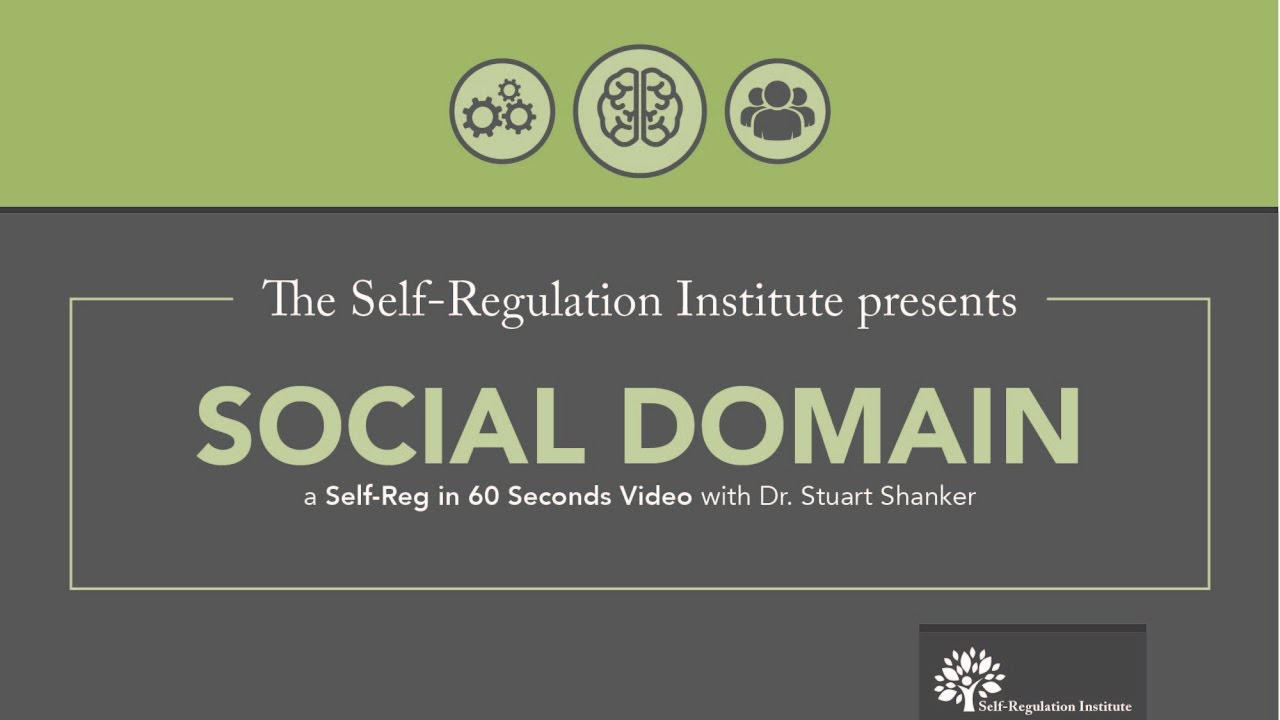 The Social Domain | The Self Regulation Institute with Dr. Stuart Shanker