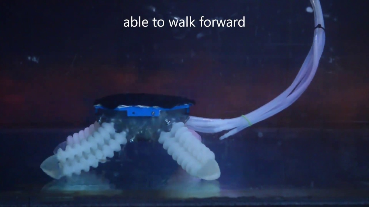 Morphing Structure for Changing Hydrodynamic Characteristics of a Soft Underwater Walking Robot