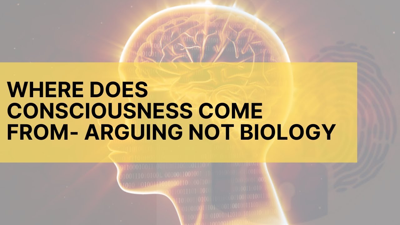 Where does consciousness come from? The argument that it's not biological- it's language-based