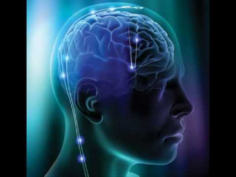 Neuroanatomy of Consciousness? [mirror]