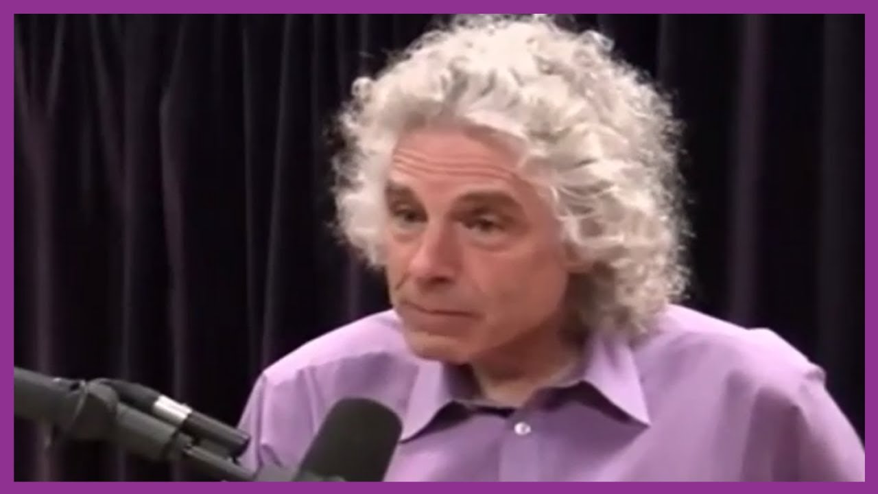 Steven Pinker: capitalismo vs. comunismo (Español)
