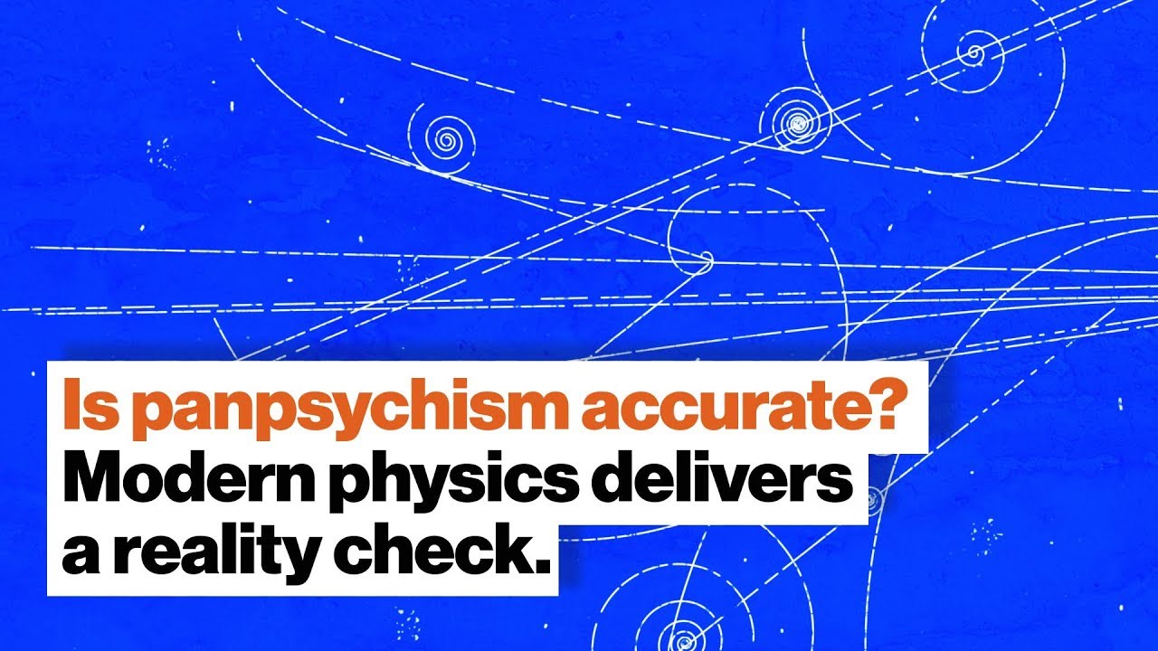 Is panpsychism accurate? Modern physics delivers a reality check. | Dr. Susan Schneider | Big Think