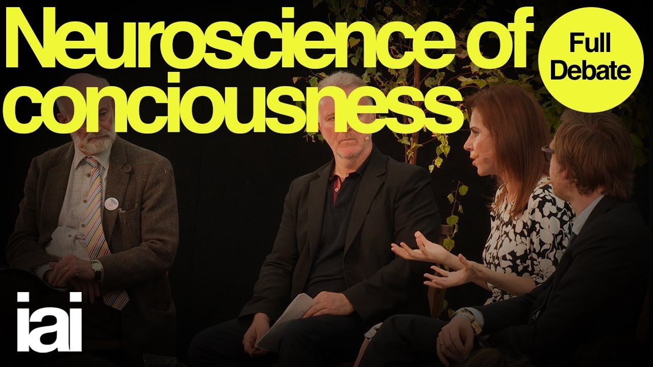 Neuroscience of Consciousness | Raymond Tallis, Markus Gabriel, Susana Martinez Conde