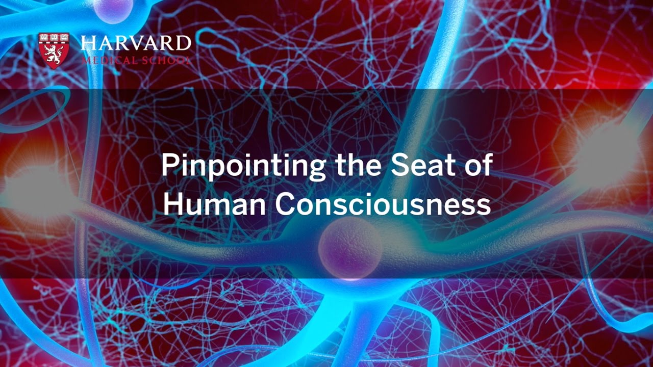 Pinpointing the Seat of Human Consciousness