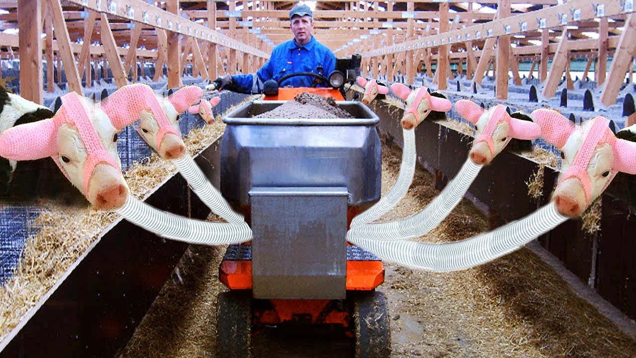 Intelligent Technology Modern Cow Milking Automatic Machine Hay Silage Feeding Tractor Smart Farming