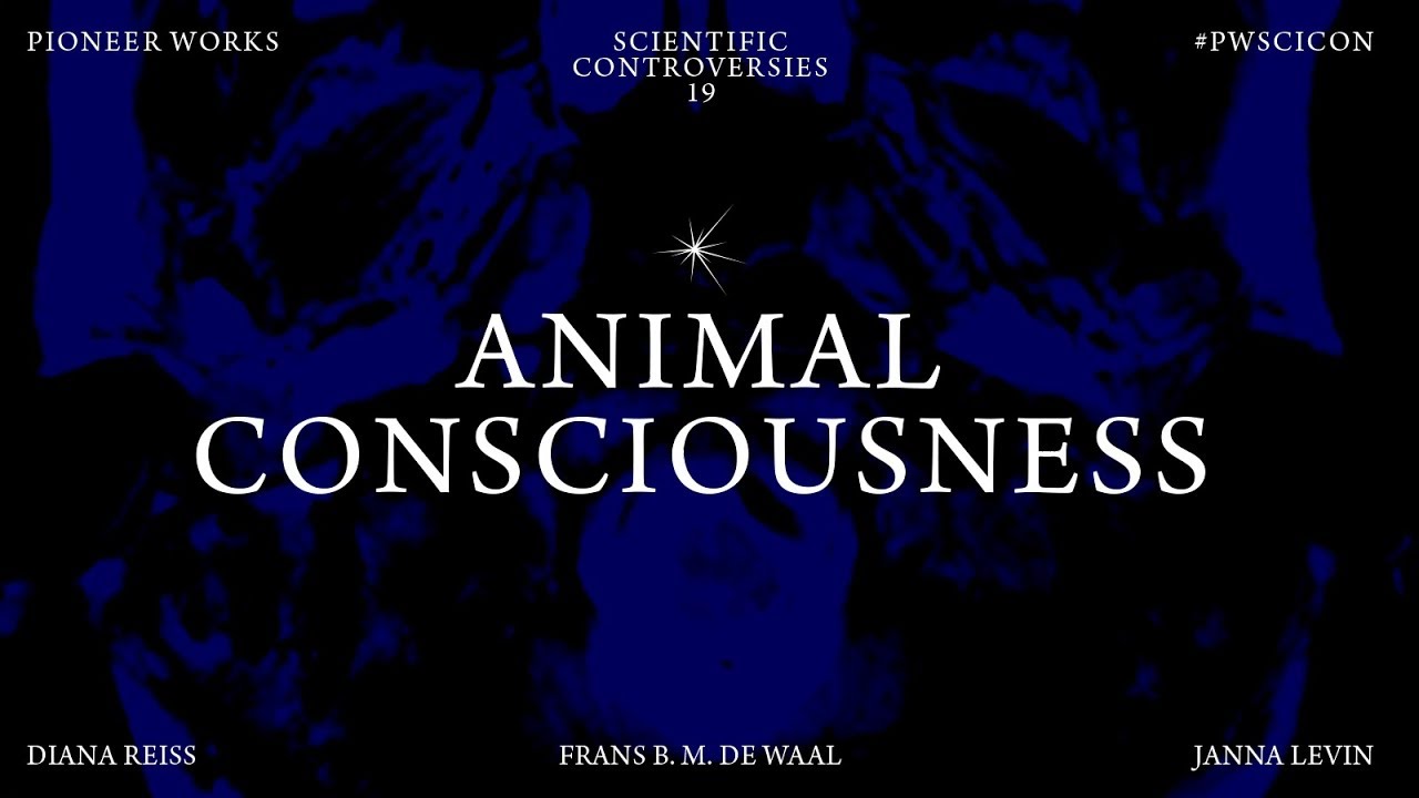 Scientific Controversies: Animal Consciousness