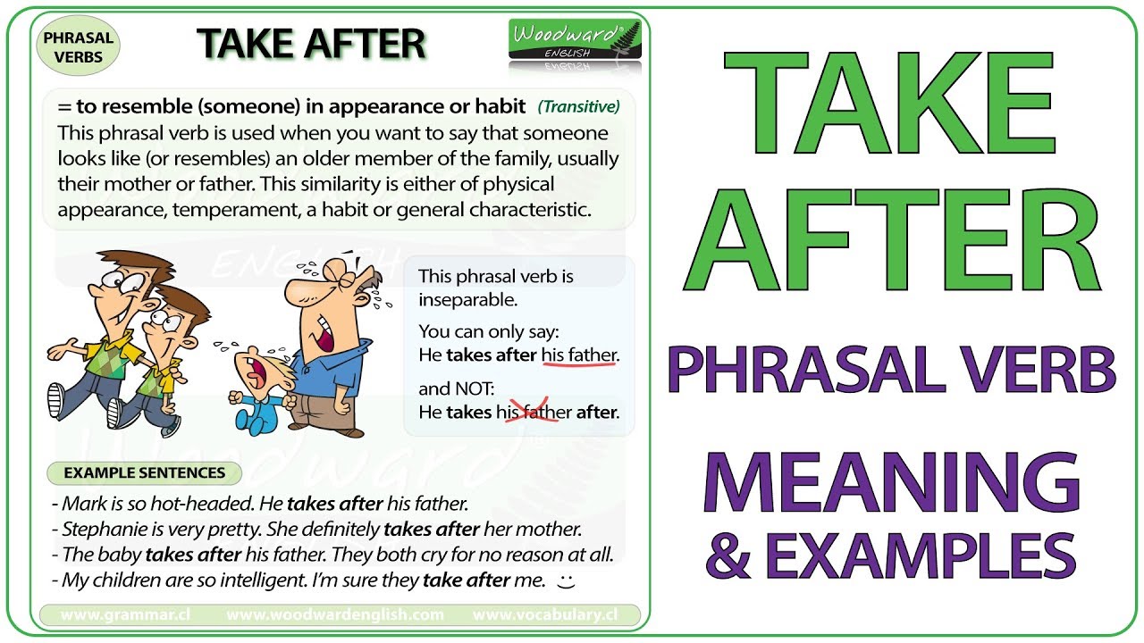 TAKE AFTER – Phrasal Verb Meaning & Examples in English