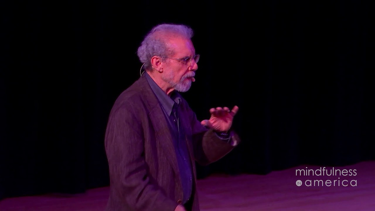 Altered Traits: The Science of Mindfulness | Daniel Goleman
