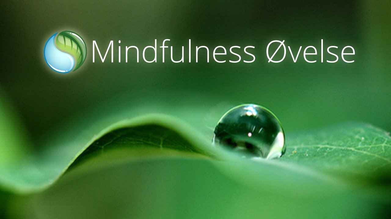 Mindfulness Øvelse + Gratis MP3