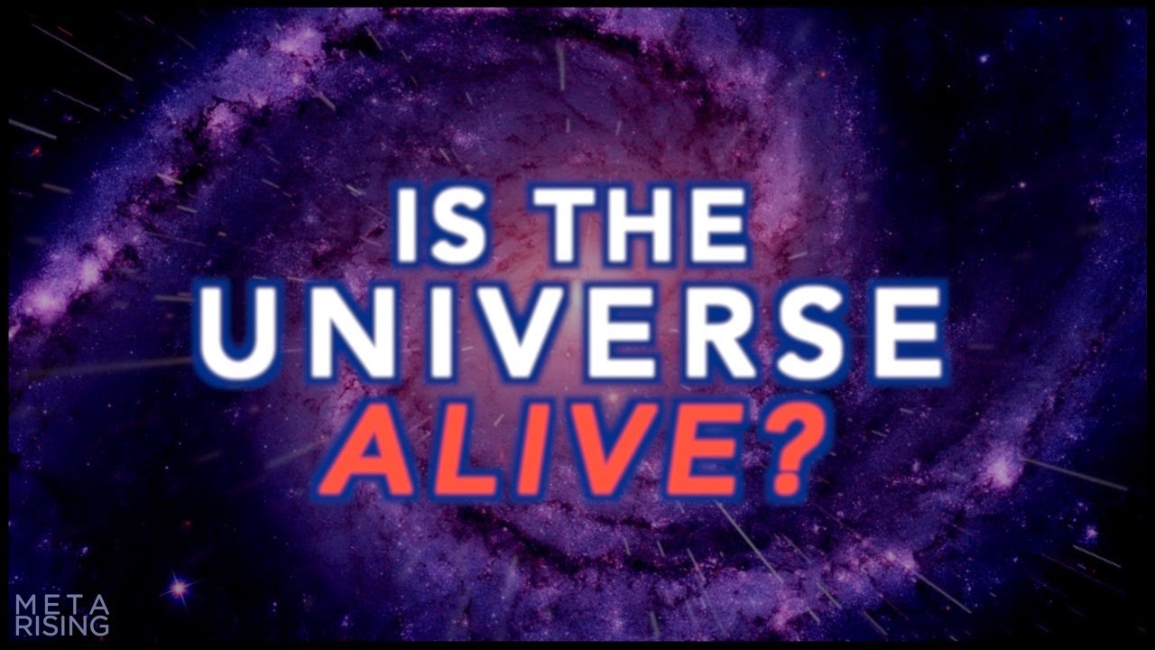 The Living Universe – Documentary about Consciousness and Reality | Waking Cosmos