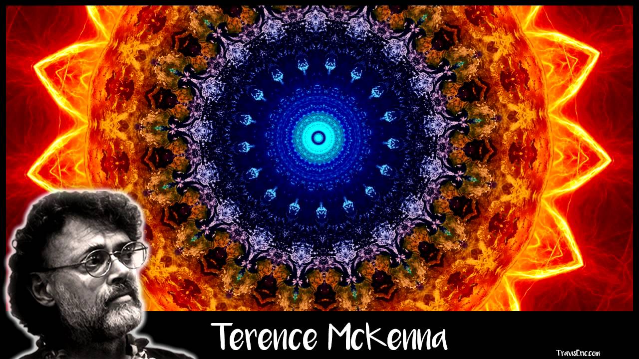 Terence McKenna – The Most Important Work to be Done