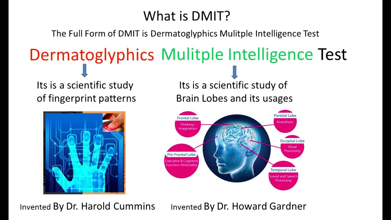 What is DMIT Test, Dermatoglyphics Multiple Intelligence Test