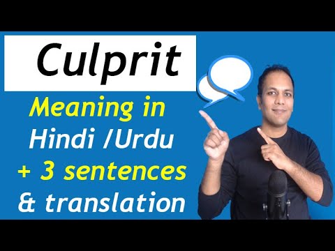 English word Culprit meaning in Hindi Urdu with example sentences and translation English vocabulary