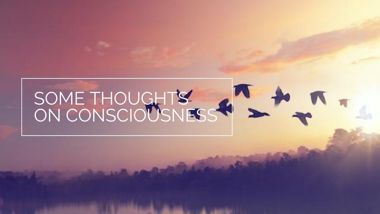 Some thoughts on consciousness