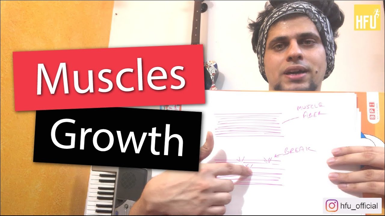 Muscle Gain Concept | How To Gain Muscles in simple language [In Hindi]