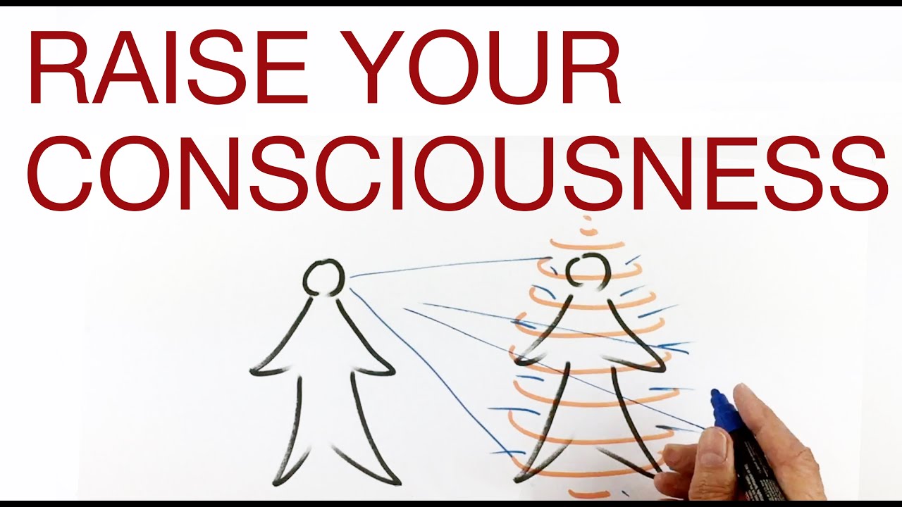 RAISE YOUR CONSCIOUSNESS explained by Hans Wilhelm