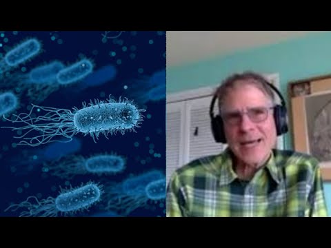 How widespread is consciousness? – Christof Koch | Living Mirrors #8 clips