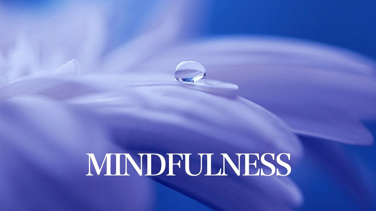 Mindfulness Atención Plena