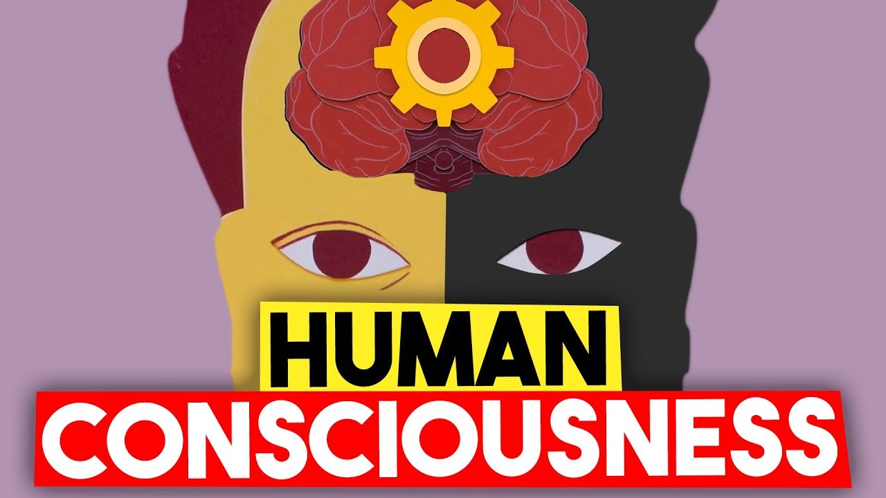 The Crazy Truth About Human Consciousness