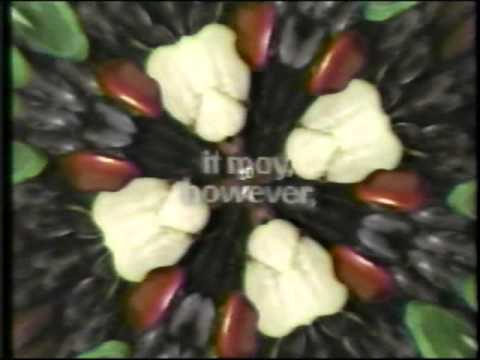 Fruitopia "Consciousness" Commercial 1994