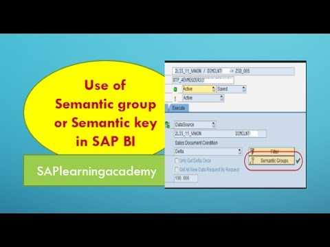 The use of Semantic group or semantic key in SAP BI