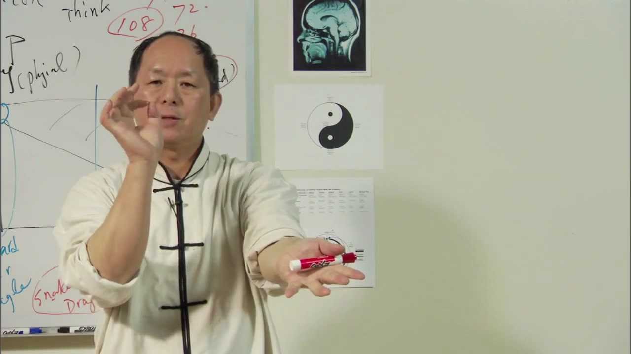 Understanding Qigong 6 (6-DVD series) Dr. Yang, Jwing-Ming – martial art breathing