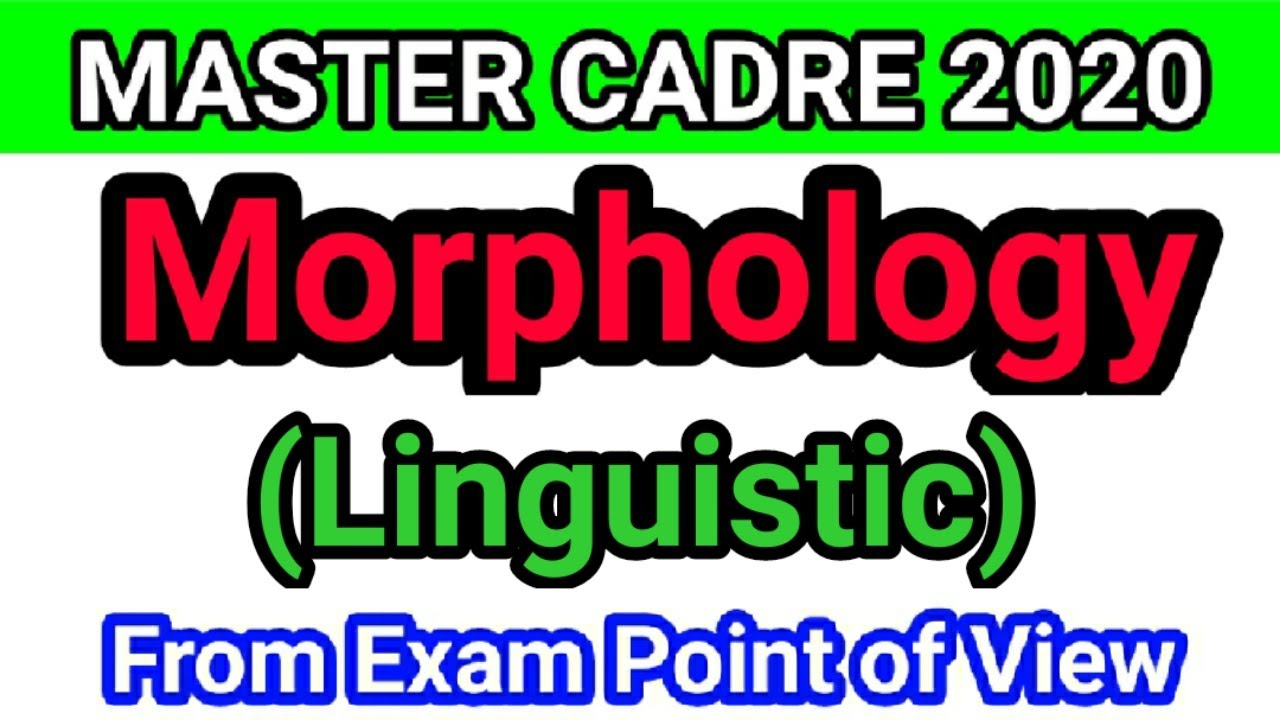 Morphology Linguistic | Morphology Linguistic in english | Part 1 |  MASTER CADRE