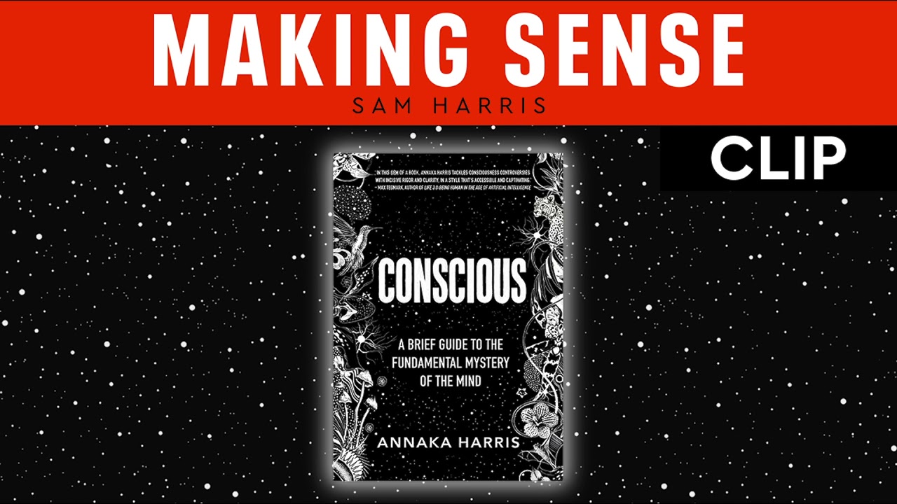 Everything You Have Wrong About Consciousness (Making Sense with Sam Harris)