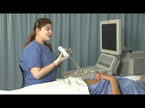 Ultrasound Training  of the Female Reproductive Organs